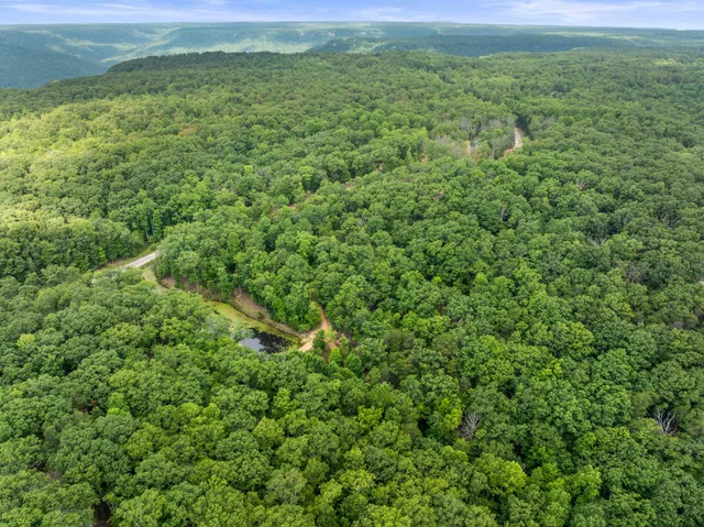 a view of a field of grass and trees