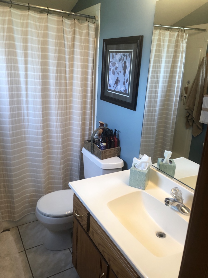 34 River Bend Road Montgomery, IL 60538 - Photo 27 of 33 a bathroom with a sink a toilet and shower curtain