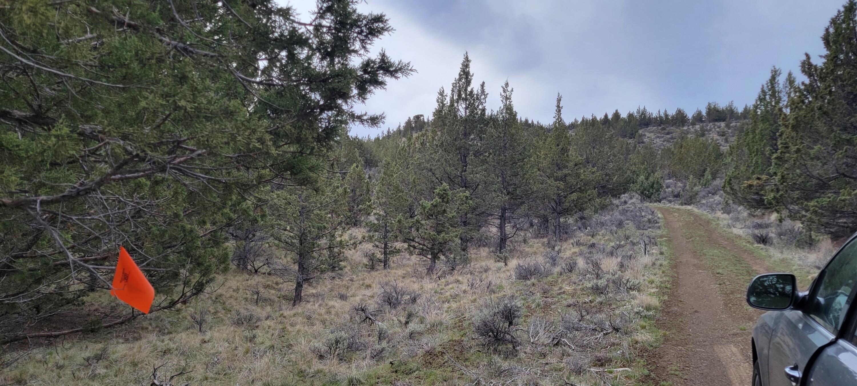 Southeast Osprey Road Prineville, OR 97754 - Photo 27 of 30 Road 02
