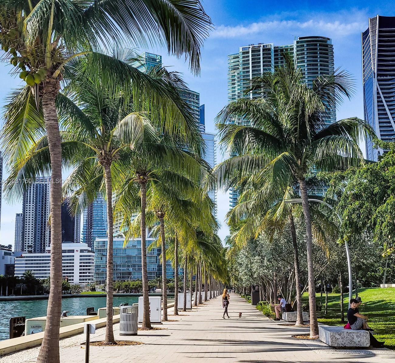 133 Northeast 2nd Avenue, Unit 1608 Miami, FL 33132 - Photo 52 of 55 MAF Park