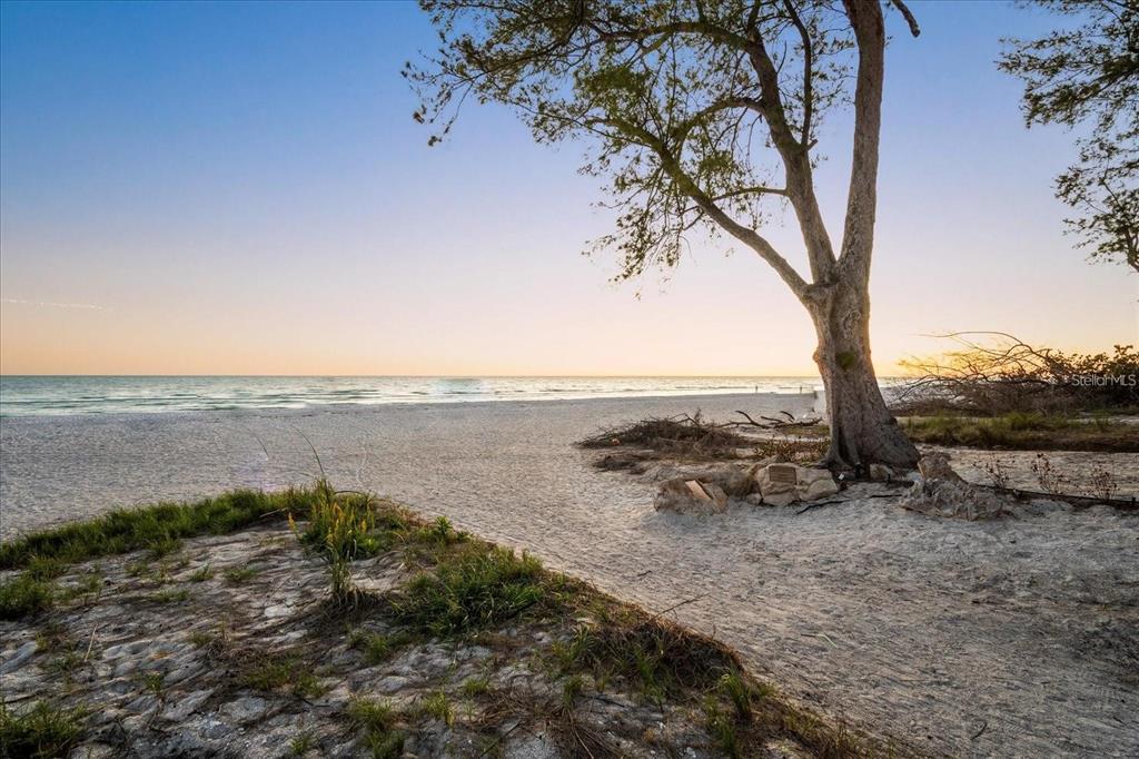 203 72nd Street Holmes Beach, FL 34217 - Photo 73 of 75 a view of a lake with a mountain