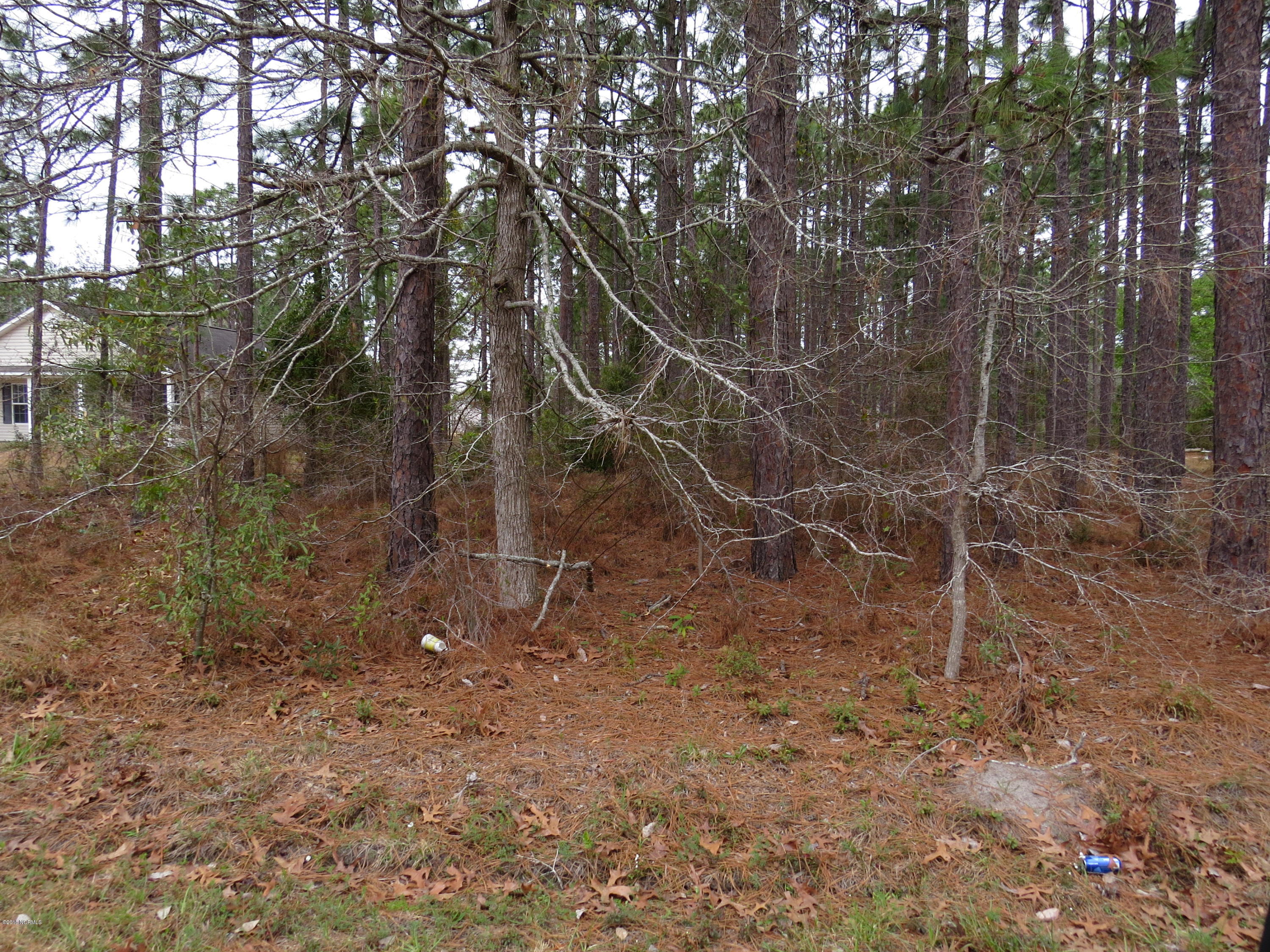 2251 East Boiling Spring Road, Unit E Southport, NC 28461 - Photo 15 of 16 Lot 6