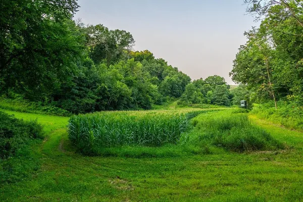 $175,000 | Tbd County Road South, Blair, WI 54616