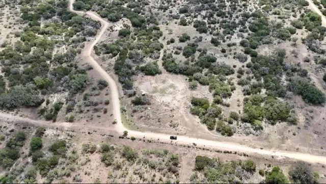 a view of a dry yard covered with trees