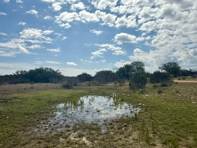 a view of lake with green space