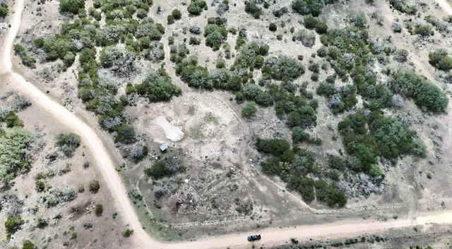 a view of a forest with a forest