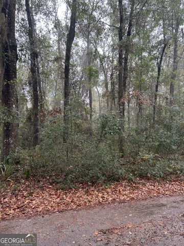 $24,000 | Lot 15 Harmony Hill Lane, Townsend, GA 31331