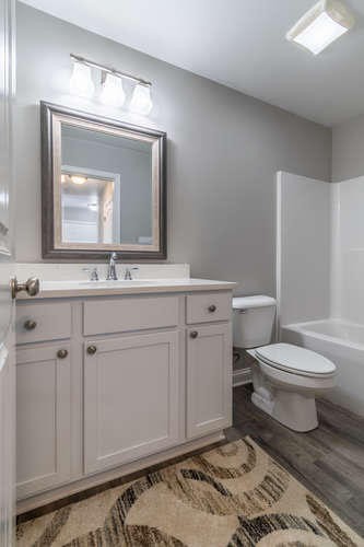 700 Spring Park Road Knoxville, TN 37914 - Photo 7 of 25 a bathroom with a toilet a sink and mirror