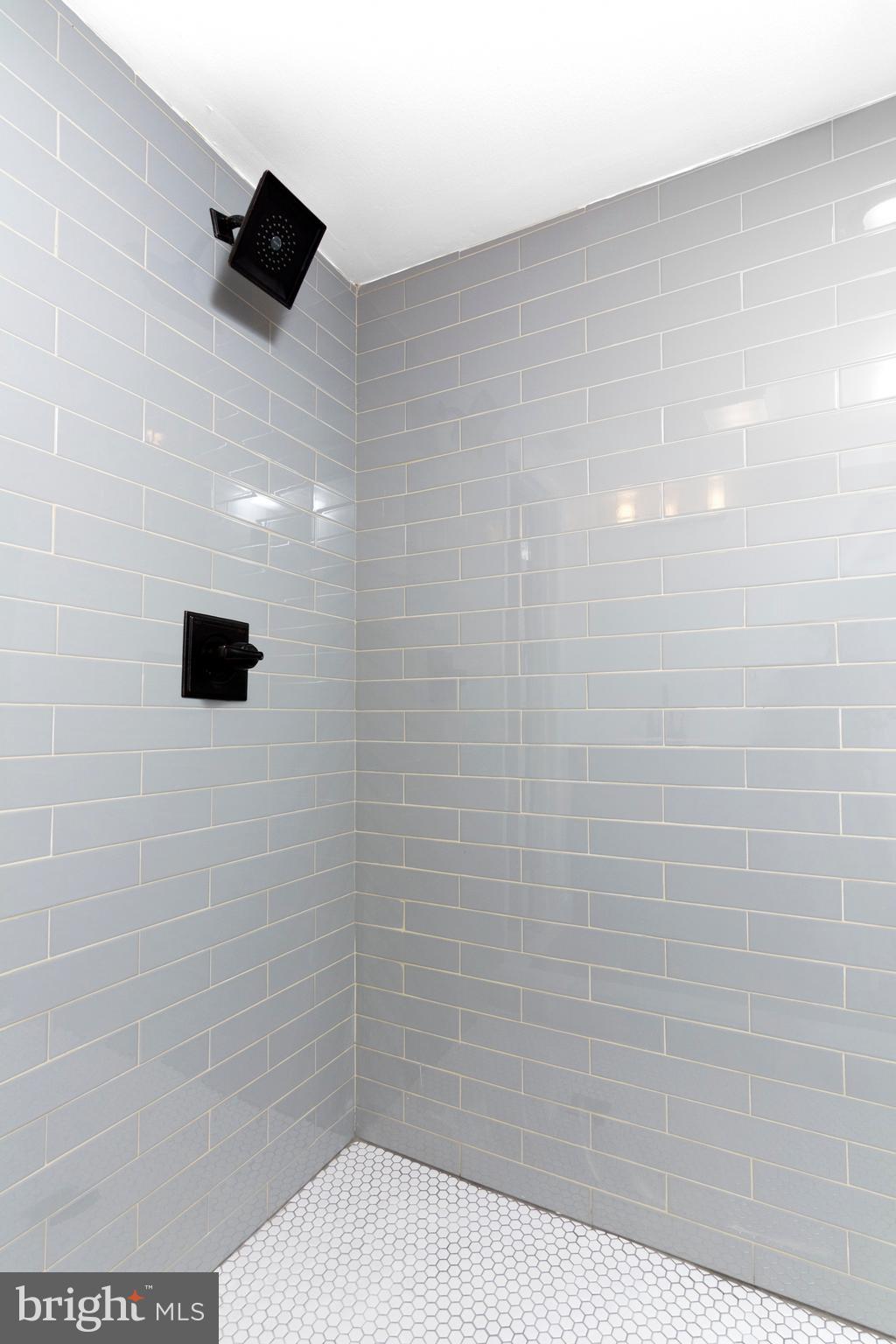 3738 Falls Road Baltimore, MD 21211 - Photo 29 of 39 Rain shower system!