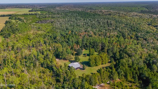 $450,000 | 16540 Northwest County Road 379, Bristol, FL 32321