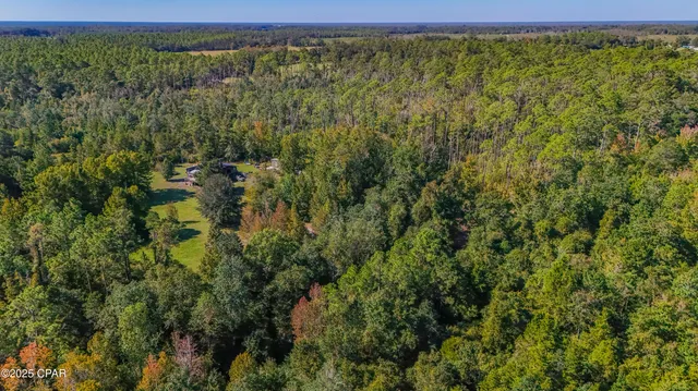 $450,000 | 16540 Northwest County Road 379, Bristol, FL 32321