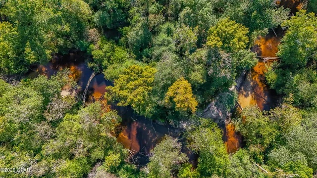 $450,000 | 16540 Northwest County Road 379, Bristol, FL 32321