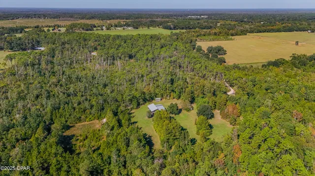 $450,000 | 16540 Northwest County Road 379, Bristol, FL 32321