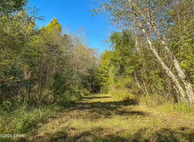 $450,000 | 16540 Northwest County Road 379, Bristol, FL 32321