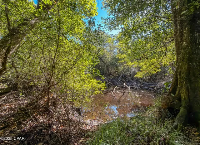 $450,000 | 16540 Northwest County Road 379, Bristol, FL 32321