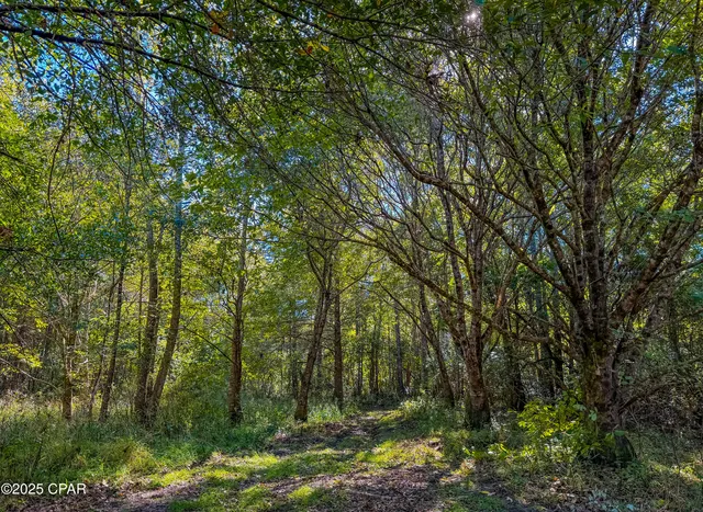 $450,000 | 16540 Northwest County Road 379, Bristol, FL 32321