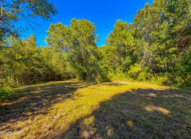 $450,000 | 16540 Northwest County Road 379, Bristol, FL 32321