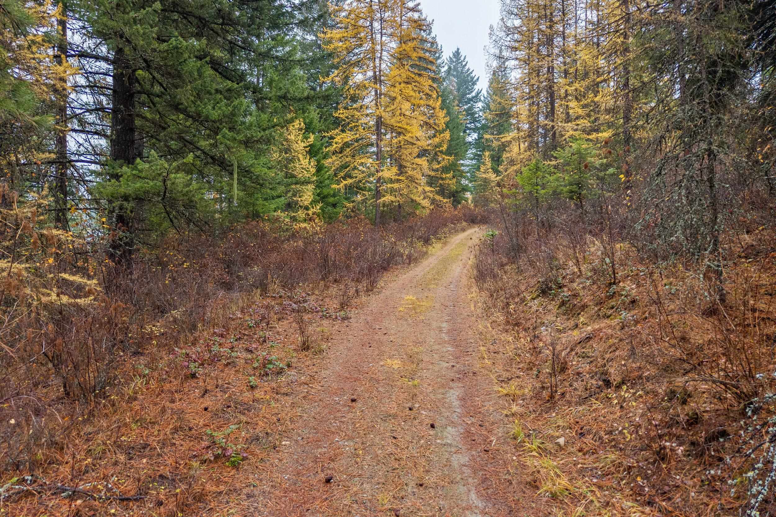 700 L Dry Gulch Road Colville, WA 99114 - Photo 2 of 9