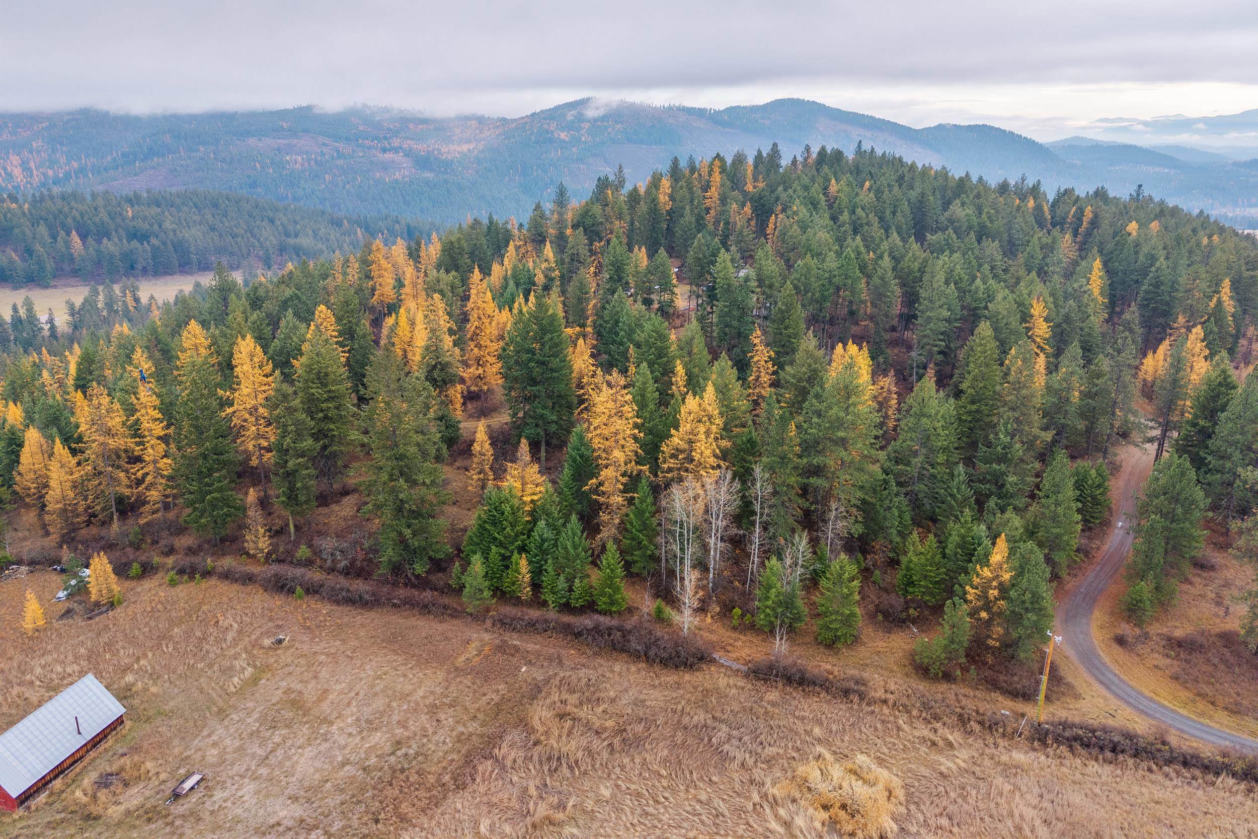 700 L Dry Gulch Road Colville, WA 99114 - Photo 4 of 9
