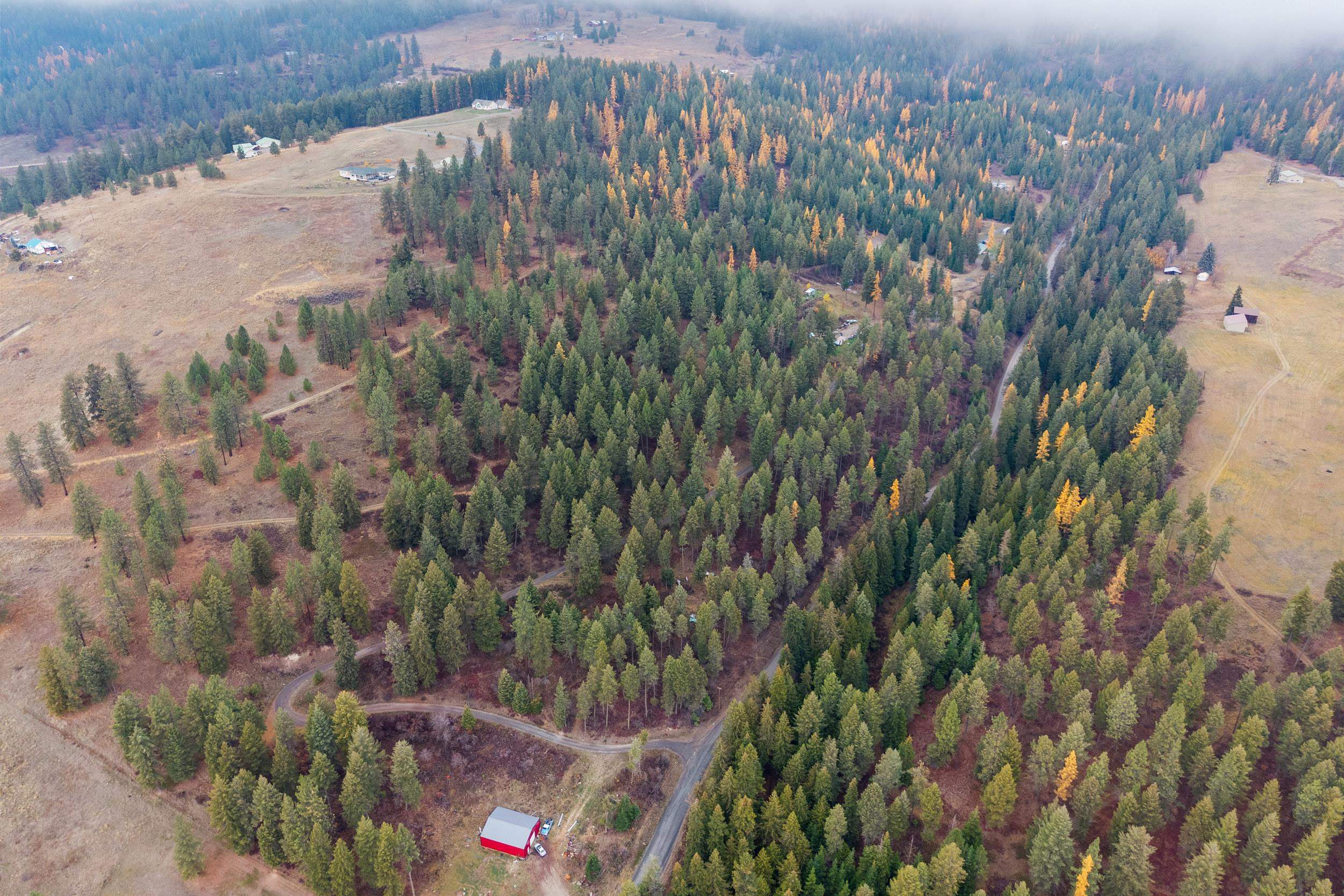 700 L Dry Gulch Road Colville, WA 99114 - Photo 7 of 9