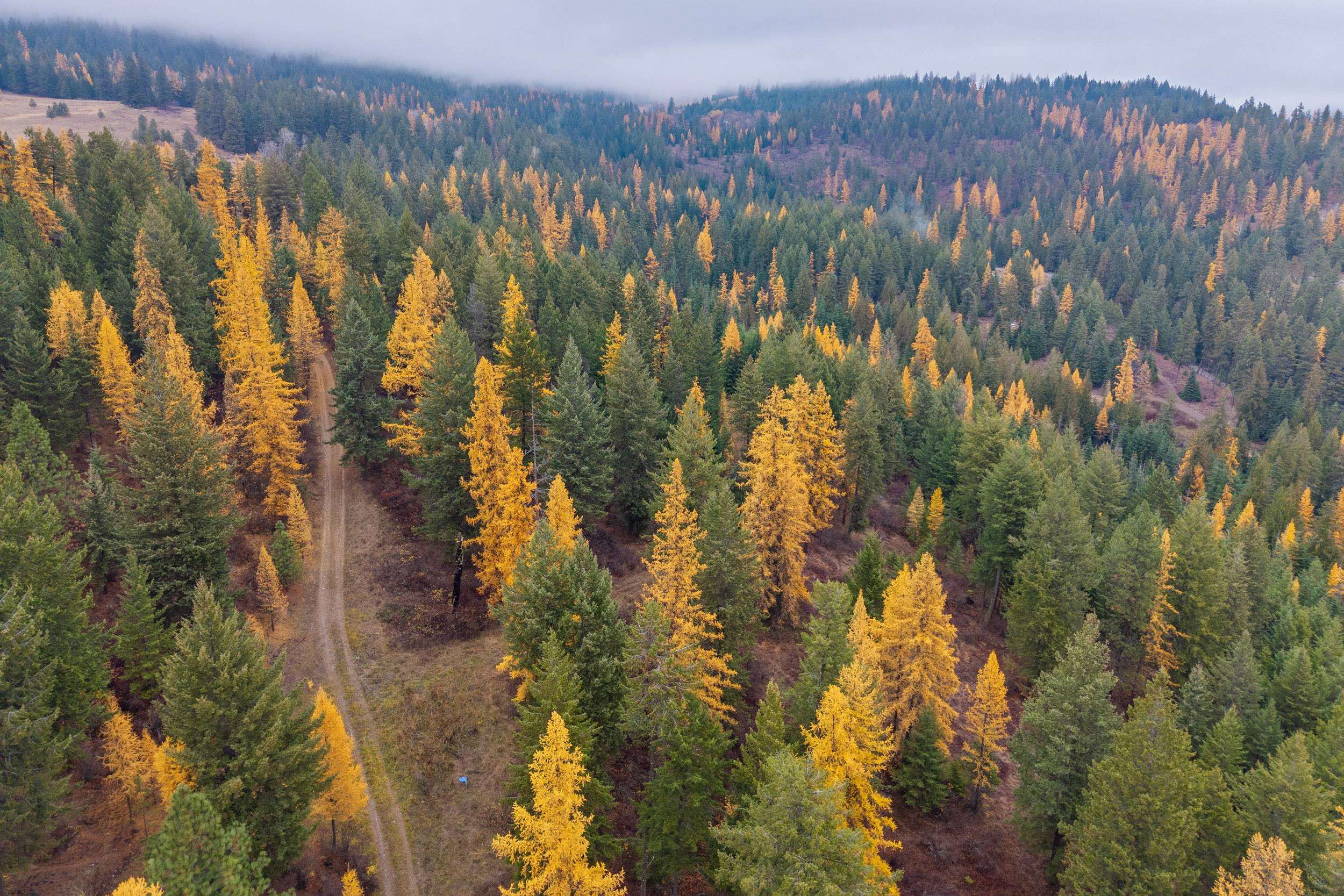700 L Dry Gulch Road Colville, WA 99114 - Photo 8 of 9