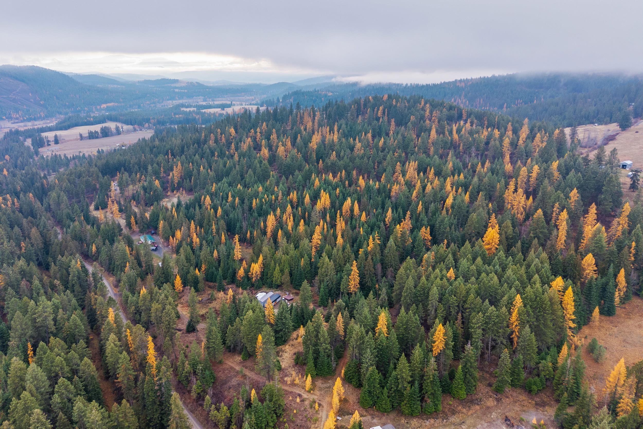 700 L Dry Gulch Road Colville, WA 99114 - Photo 9 of 9