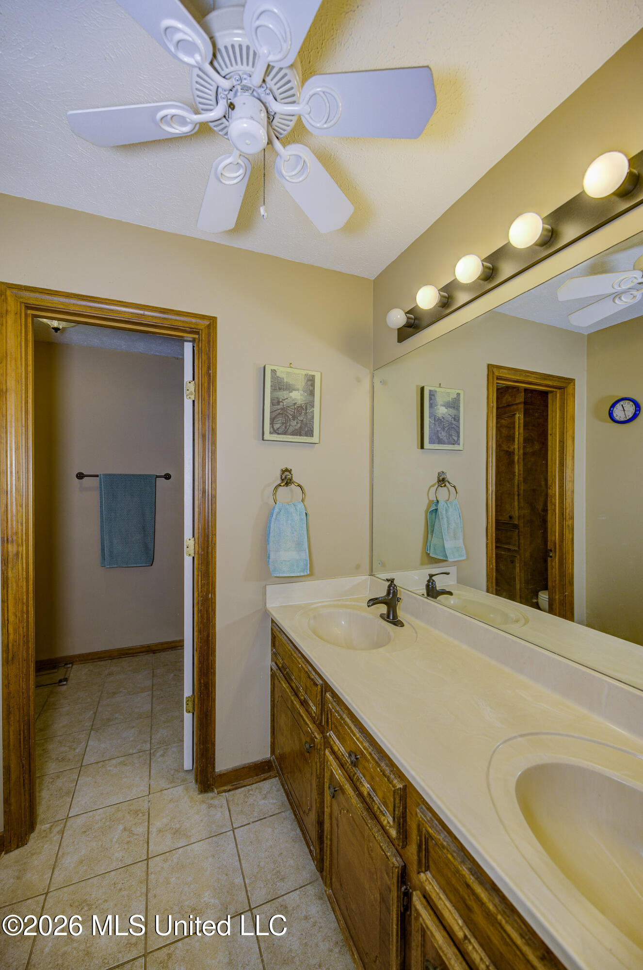 103 Erin Cove Clinton, MS 39056 - Photo 21 of 39 22 Primary Bathroom 2