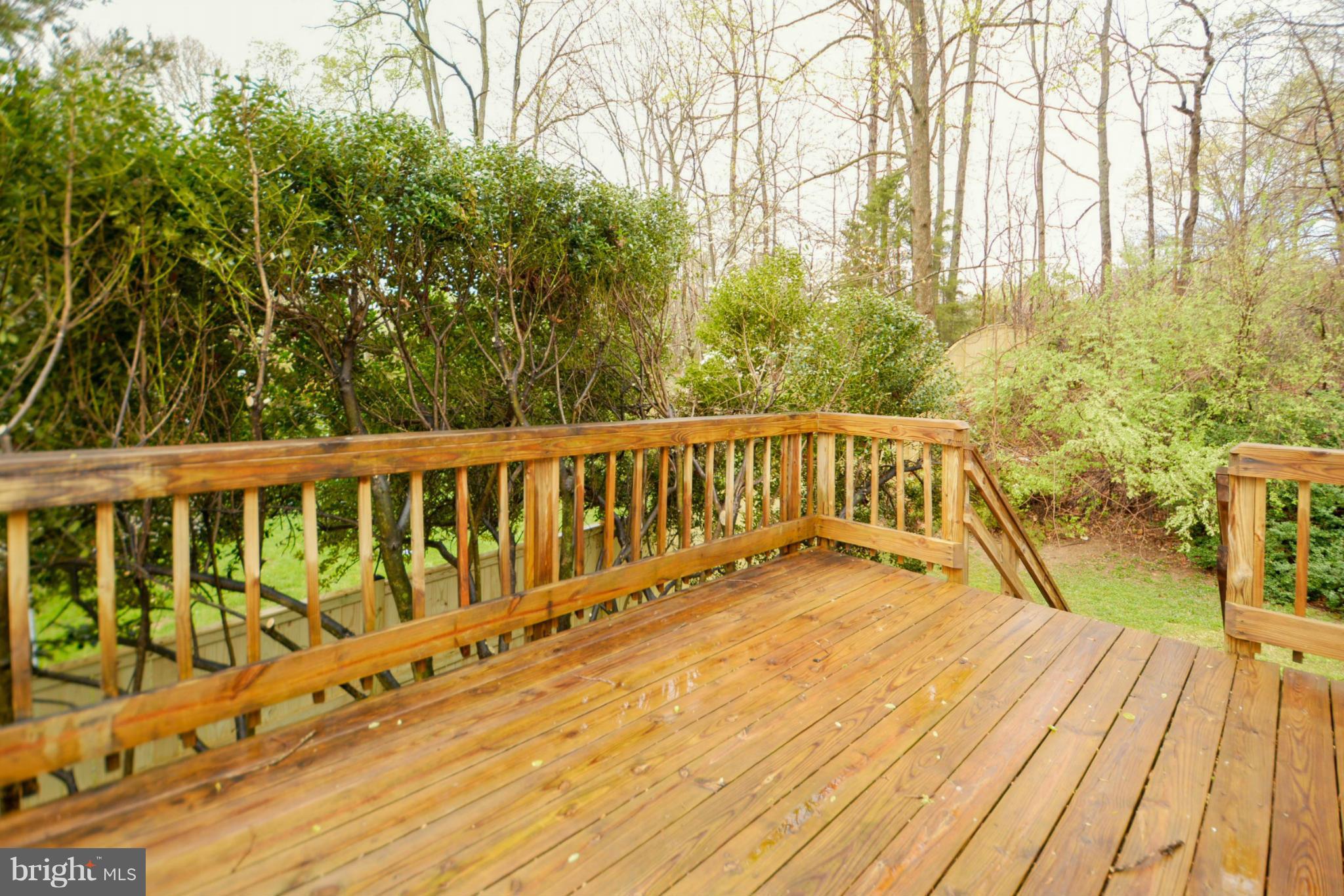 9142 Rockefeller Lane Springfield, VA 22153 - Photo 3 of 28 Exterior (Rear)