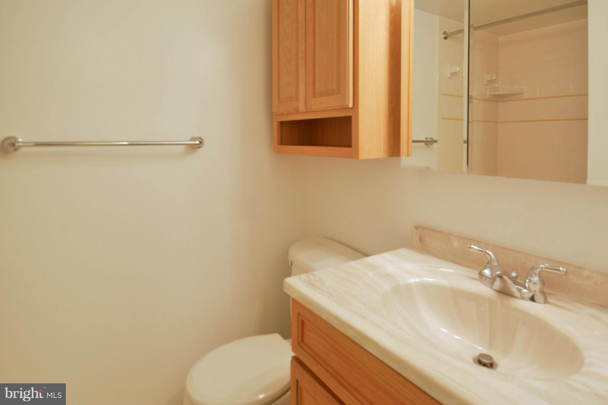9142 Rockefeller Lane Springfield, VA 22153 - Photo 26 of 28 Bath