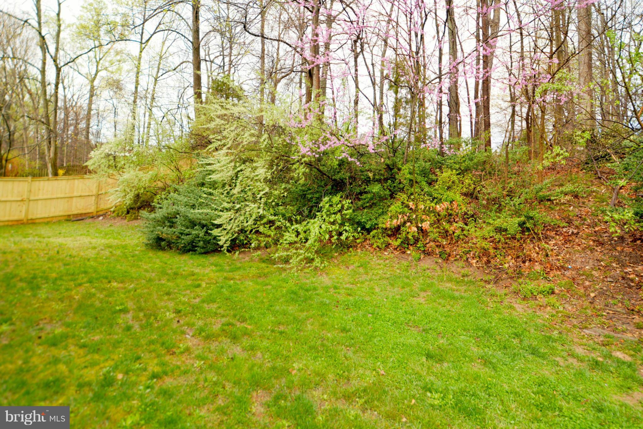 9142 Rockefeller Lane Springfield, VA 22153 - Photo 6 of 28 Exterior (Rear)