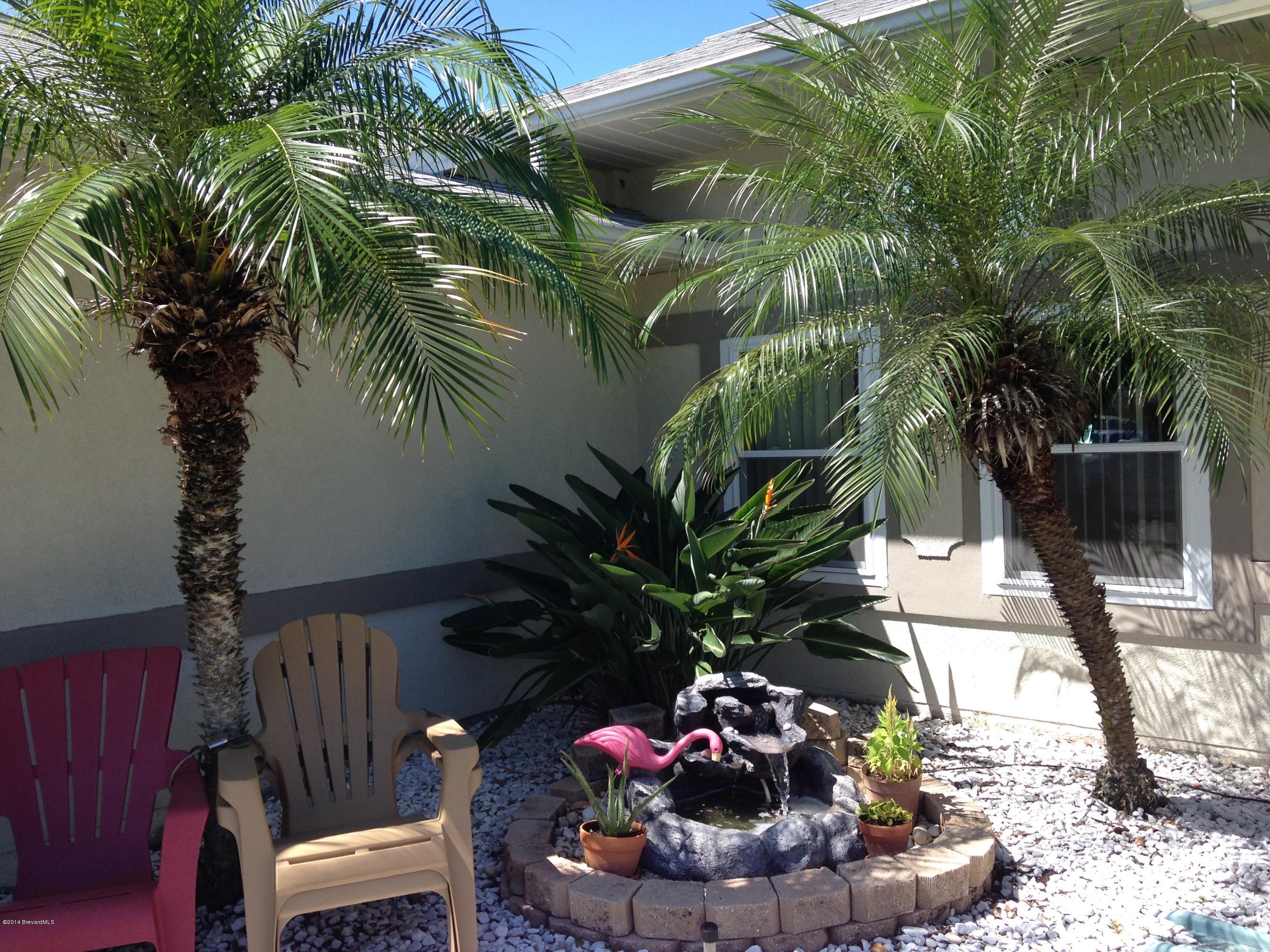 5246 Bridge Road Cocoa, FL 32927 - Photo 2 of 44 TROPICAL ENTRYWAY WITH WATERFALL