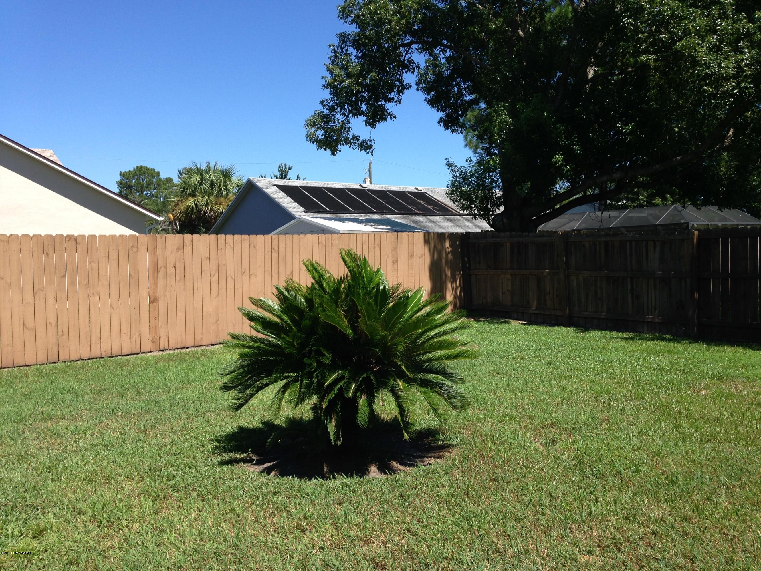 5246 Bridge Road Cocoa, FL 32927 - Photo 28 of 44 BACKYARD VIEW