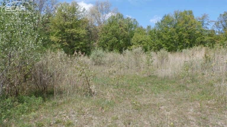 8411 West Dodge Road Montrose, MI 48457 - Photo 8 of 28 Gallery Image 8