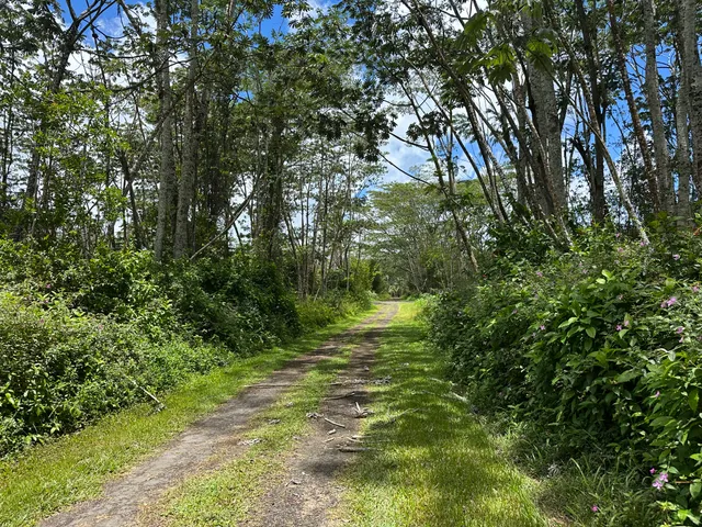 a view of outdoor space and trees all around