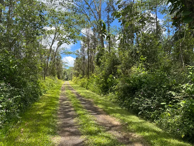 a view of yard with green space