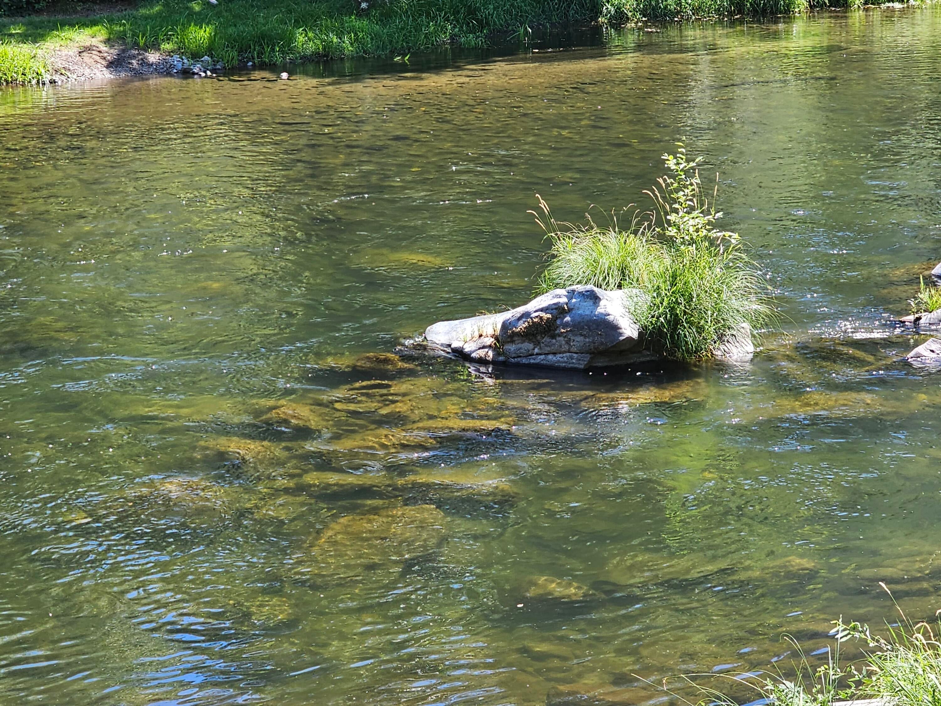 1395 Fish Hatchery Road Grants Pass, OR 97527 - Photo 57 of 58 20230810_133358