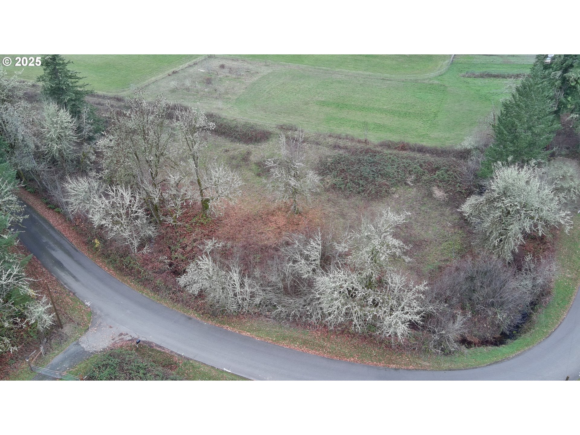 Battle Creek Road Eugene, OR 97402 - Photo 11 of 13 Gallery Image 11