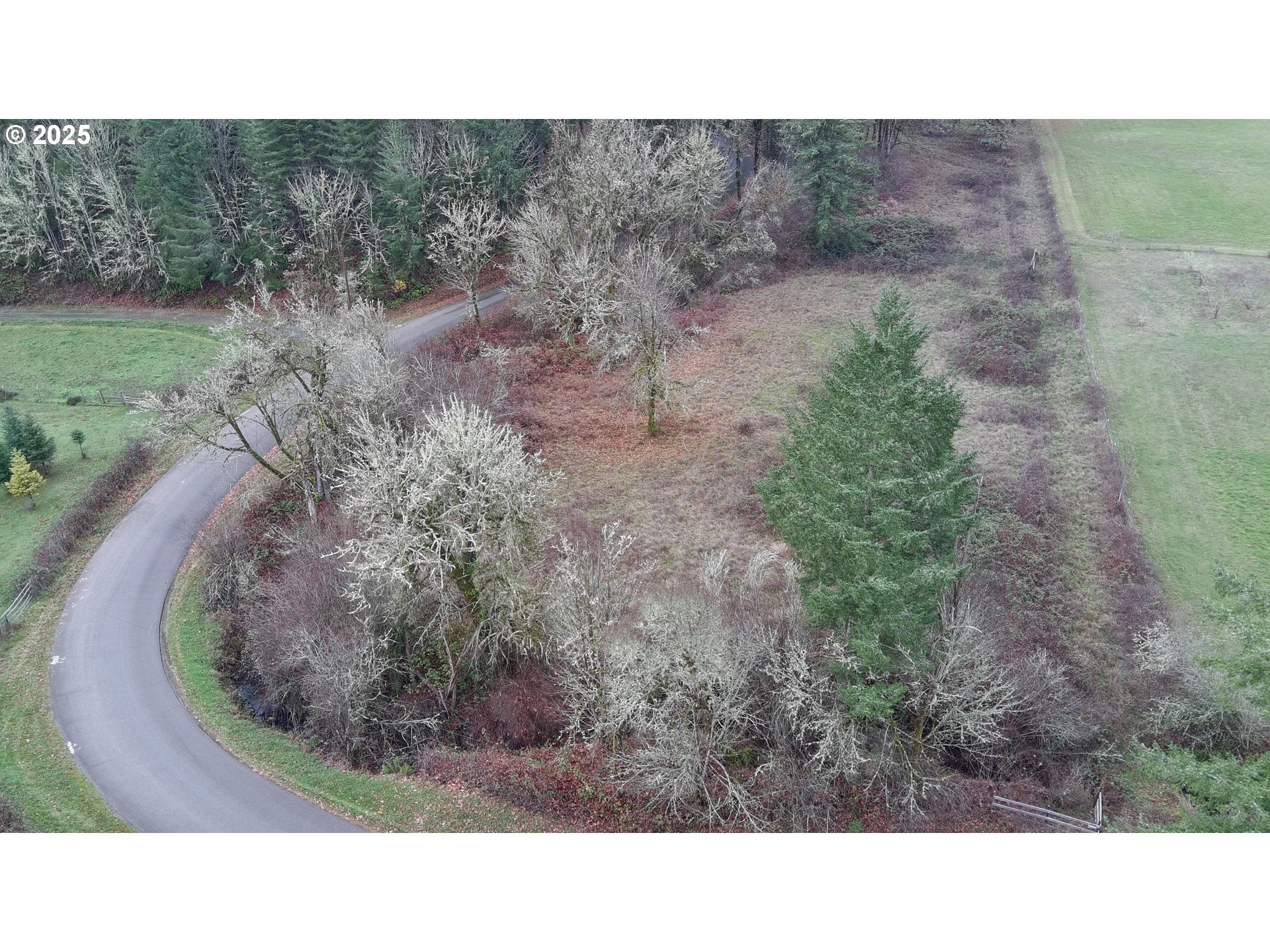 Battle Creek Road Eugene, OR 97402 - Photo 12 of 13 Gallery Image 12