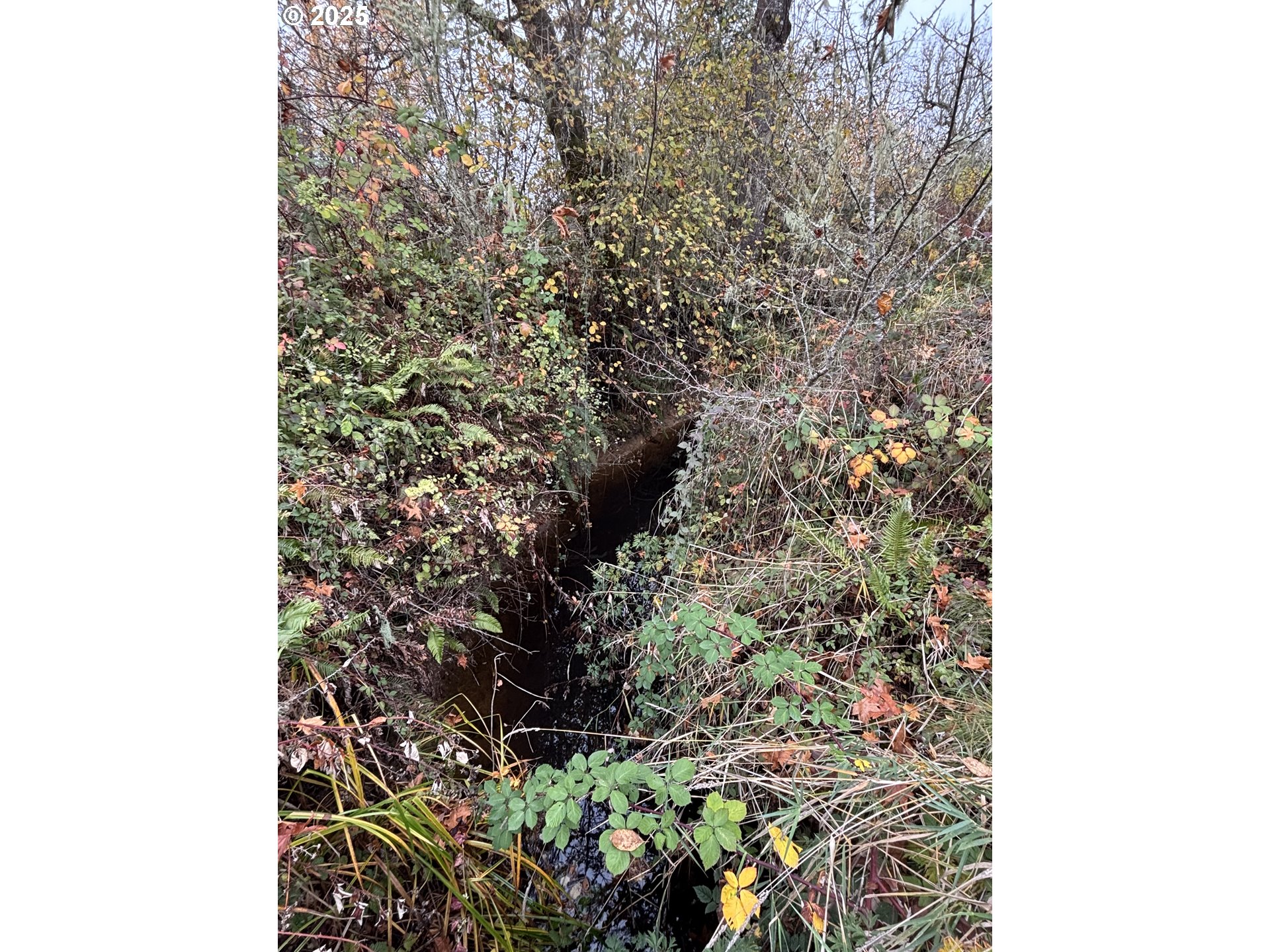 Battle Creek Road Eugene, OR 97402 - Photo 2 of 13 Gallery Image 2