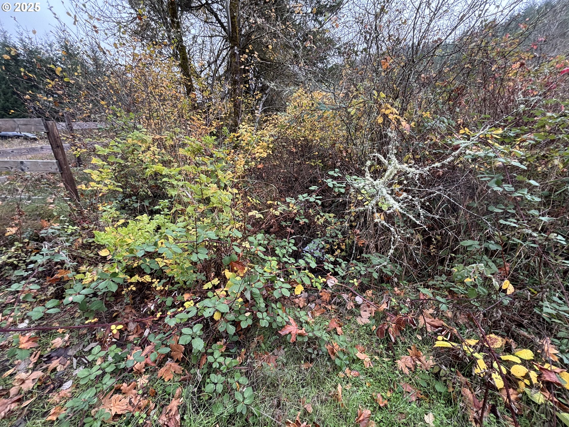 Battle Creek Road Eugene, OR 97402 - Photo 4 of 13 Gallery Image 4
