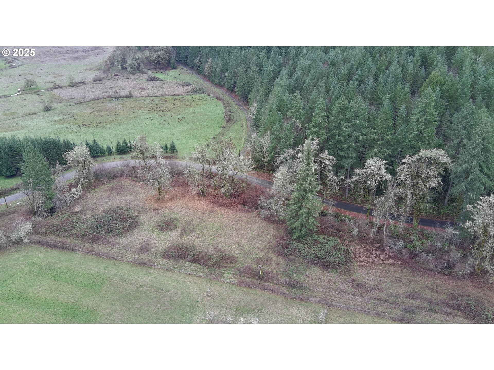 Battle Creek Road Eugene, OR 97402 - Photo 6 of 13 Gallery Image 6