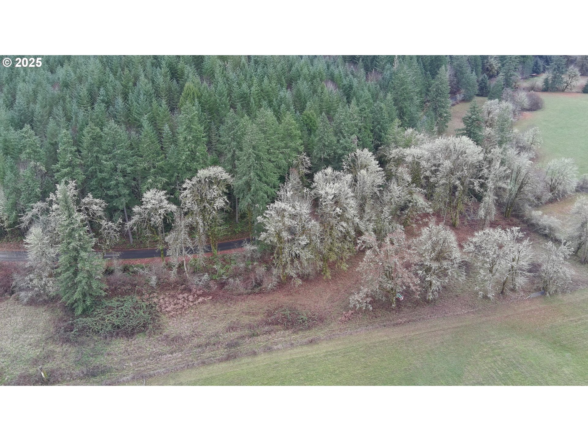 Battle Creek Road Eugene, OR 97402 - Photo 7 of 13 Gallery Image 7