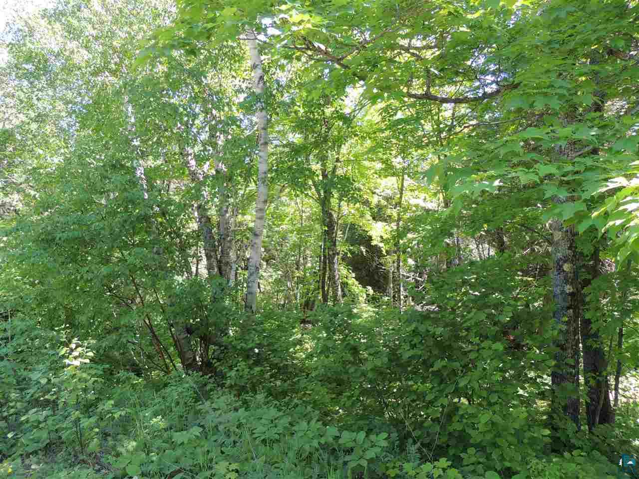 X30 Isak Ridge Lutsen, MN 55612 - Photo 5 of 28