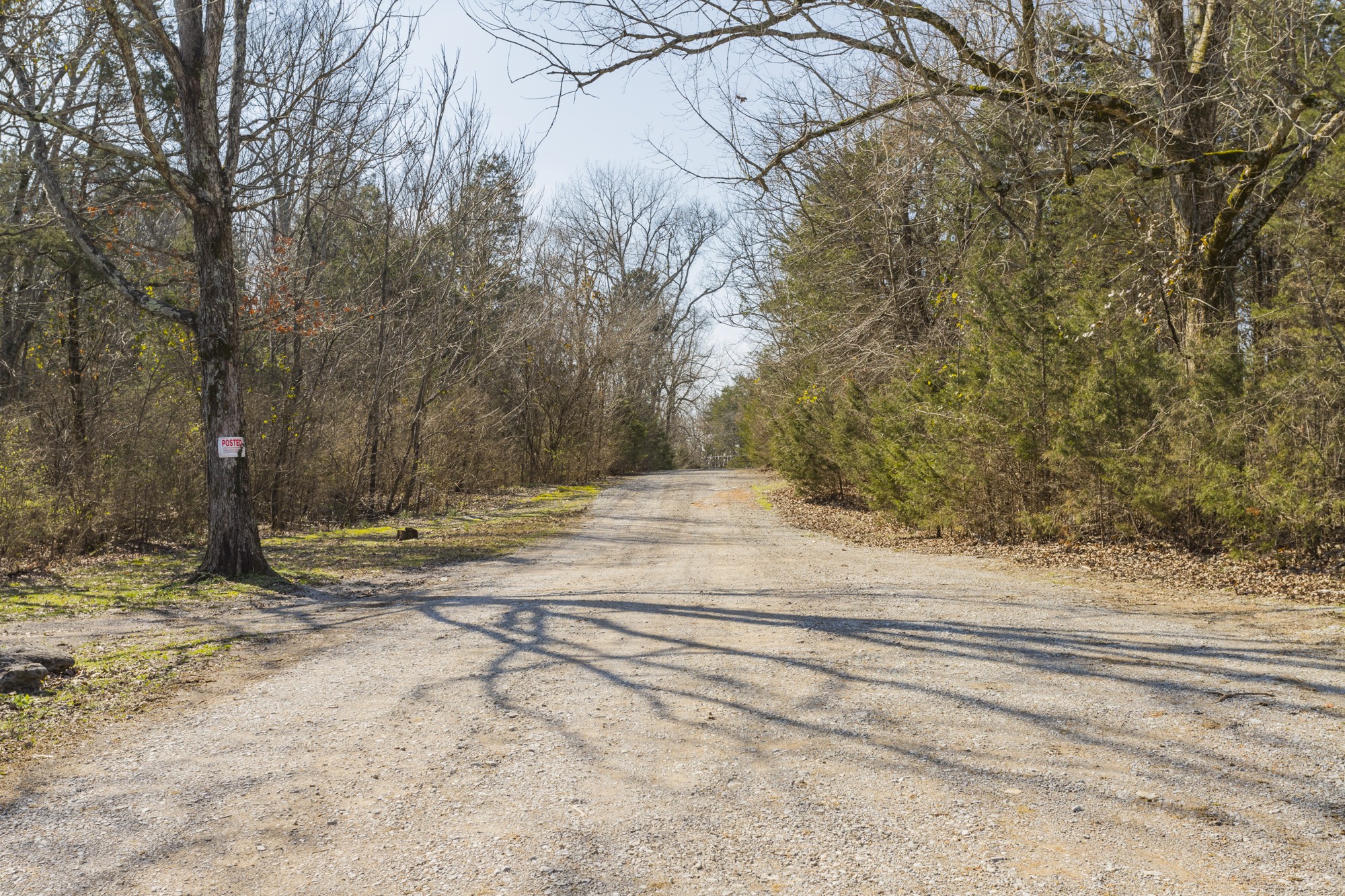 4306 Kedron Road Spring Hill, TN 37174 - Photo 33 of 35 a view of a yard with a house