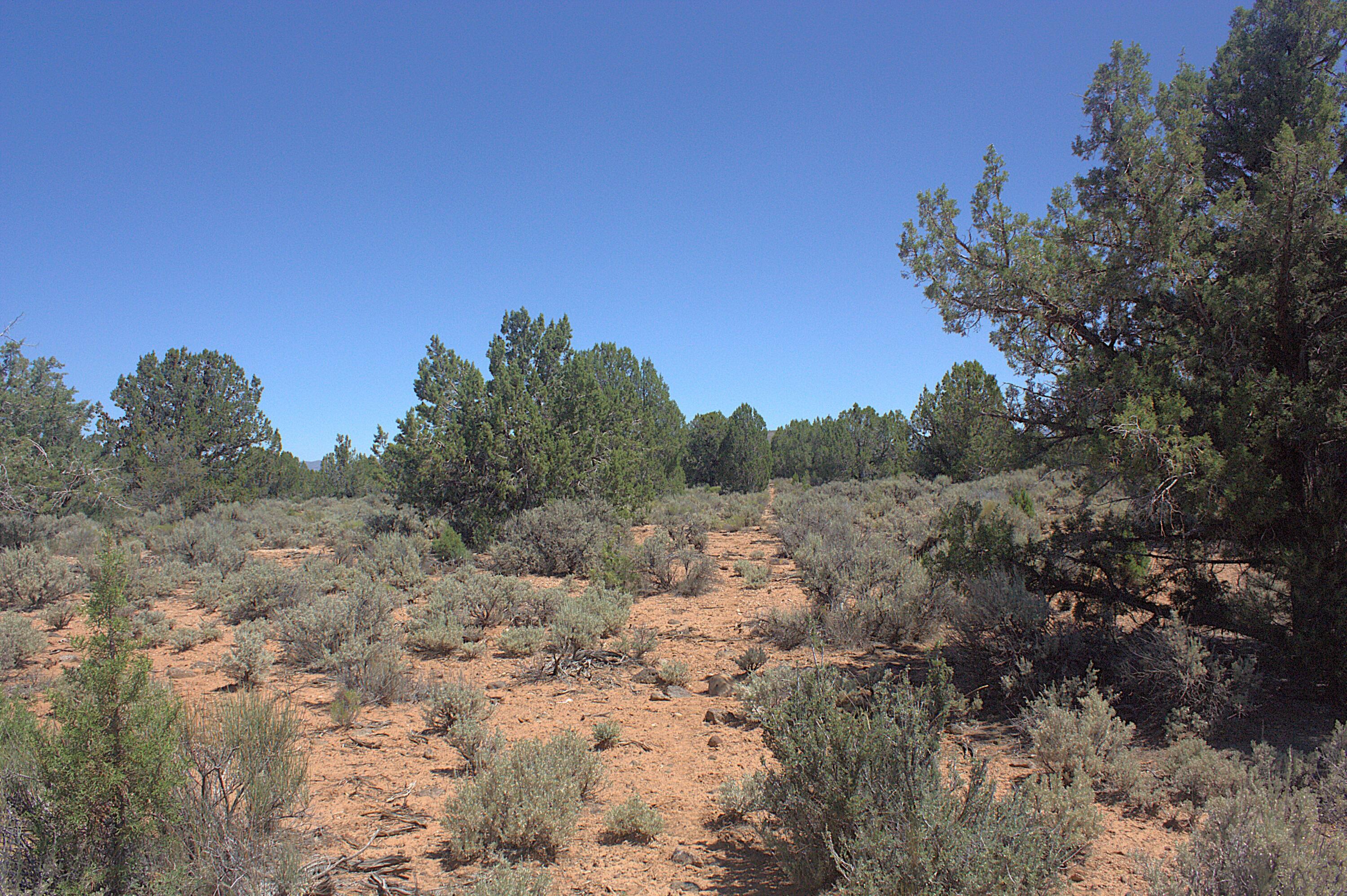 Juniper Road Dammeron Valley, UT 84783 - Photo 12 of 21 _MG_4749