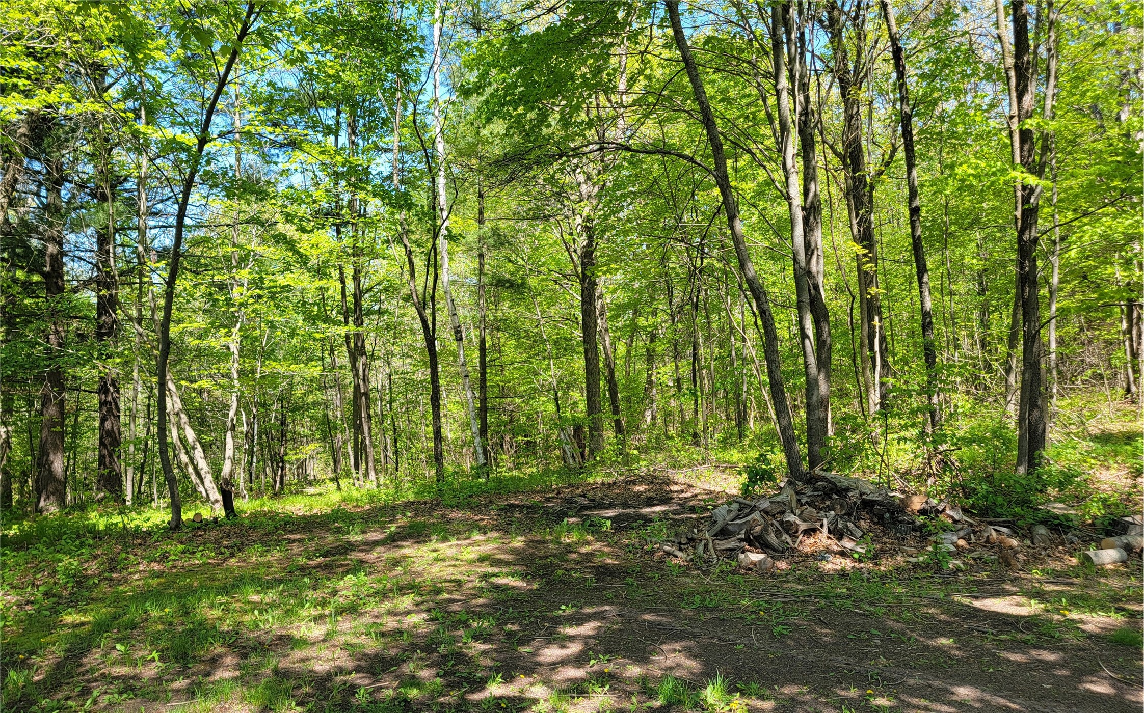 5154 County Road X Webster, WI 54893 - Photo 28 of 34