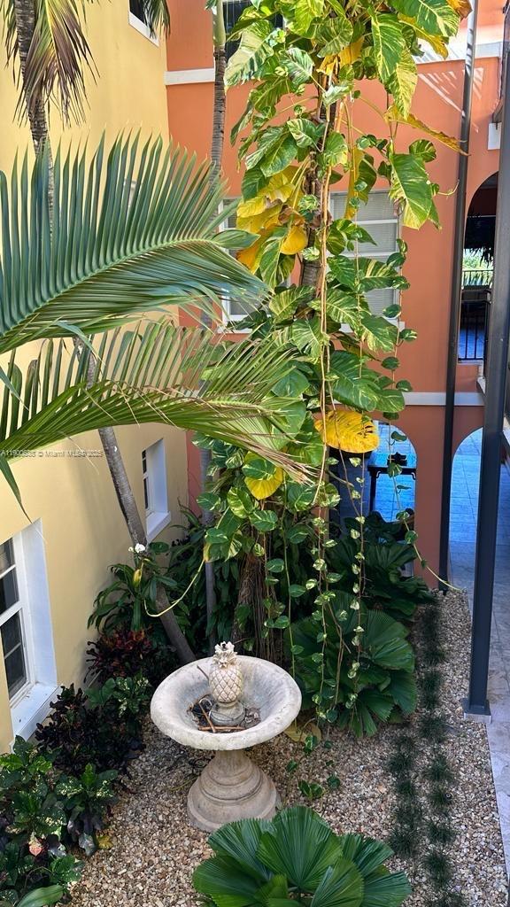 4812 Pine Tree Drive, Unit 204 Miami Beach, FL 33140 - Photo 15 of 43 a view of a backyard with plants and a garden