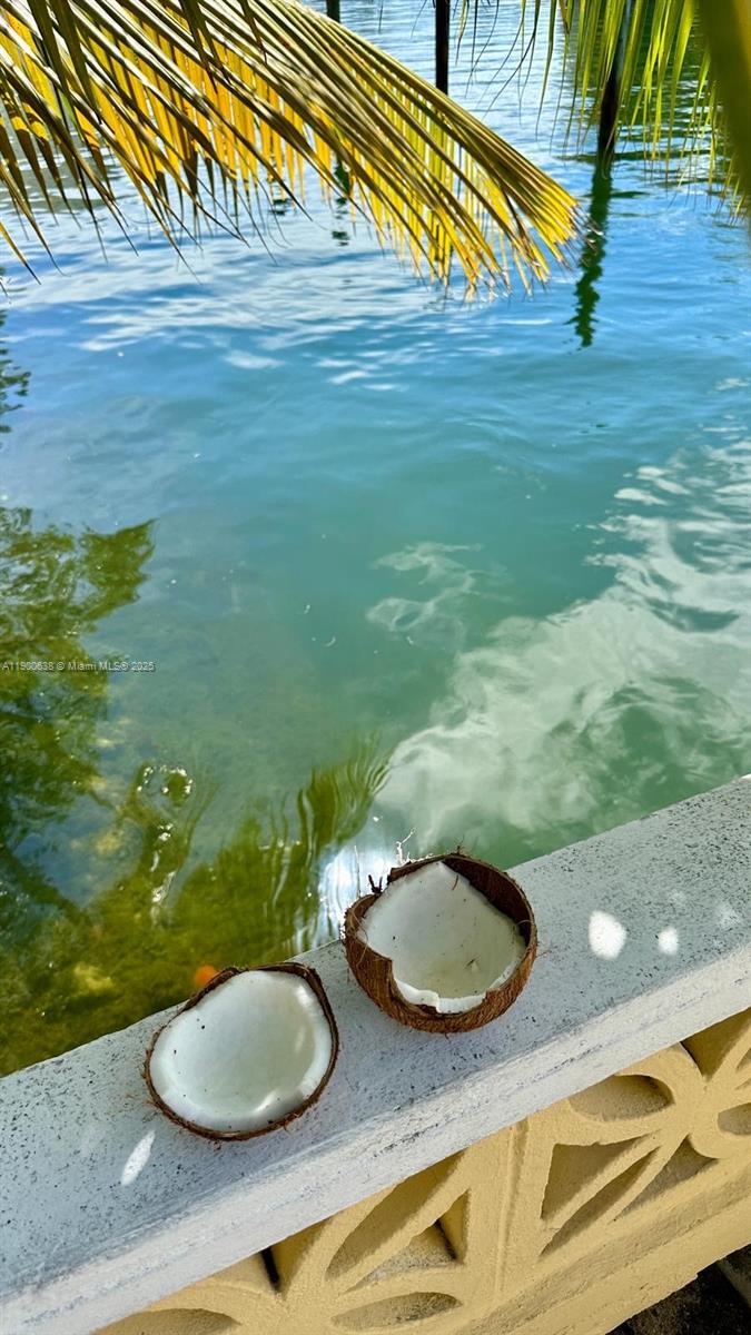 4812 Pine Tree Drive, Unit 204 Miami Beach, FL 33140 - Photo 17 of 43