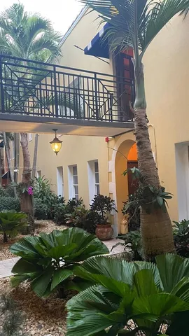 a view of a backyard with plants and a garden