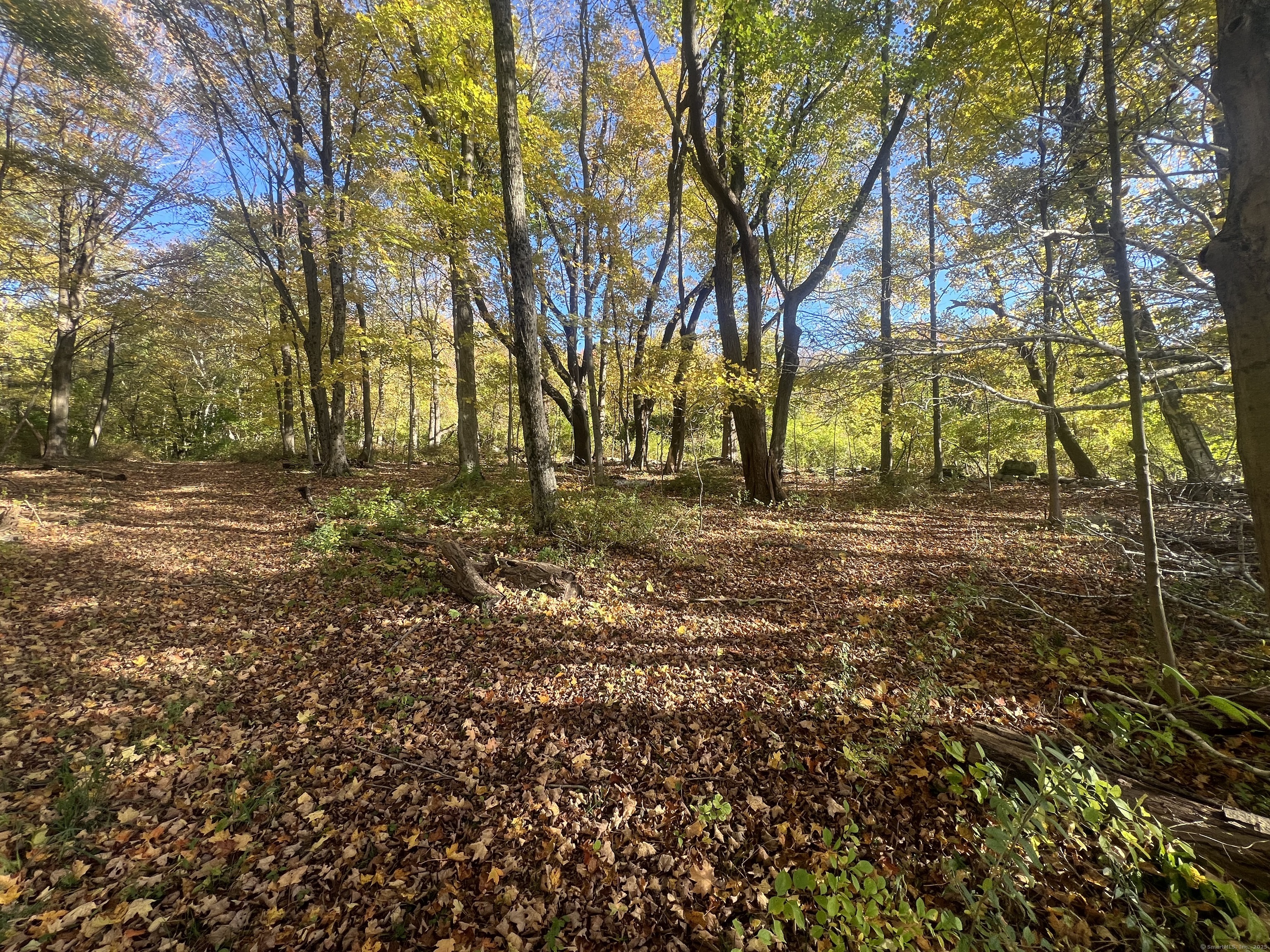 Spooner Hill Road Kent, CT 06757 - Photo 3 of 17